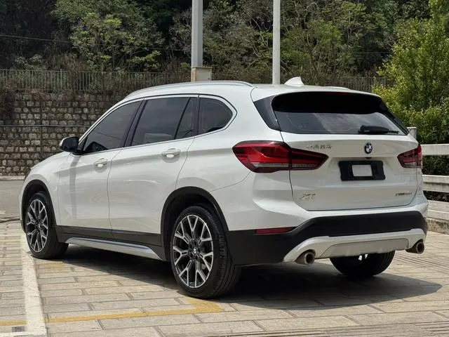 BMW BMW X1 xDrive25Li Exclusive type