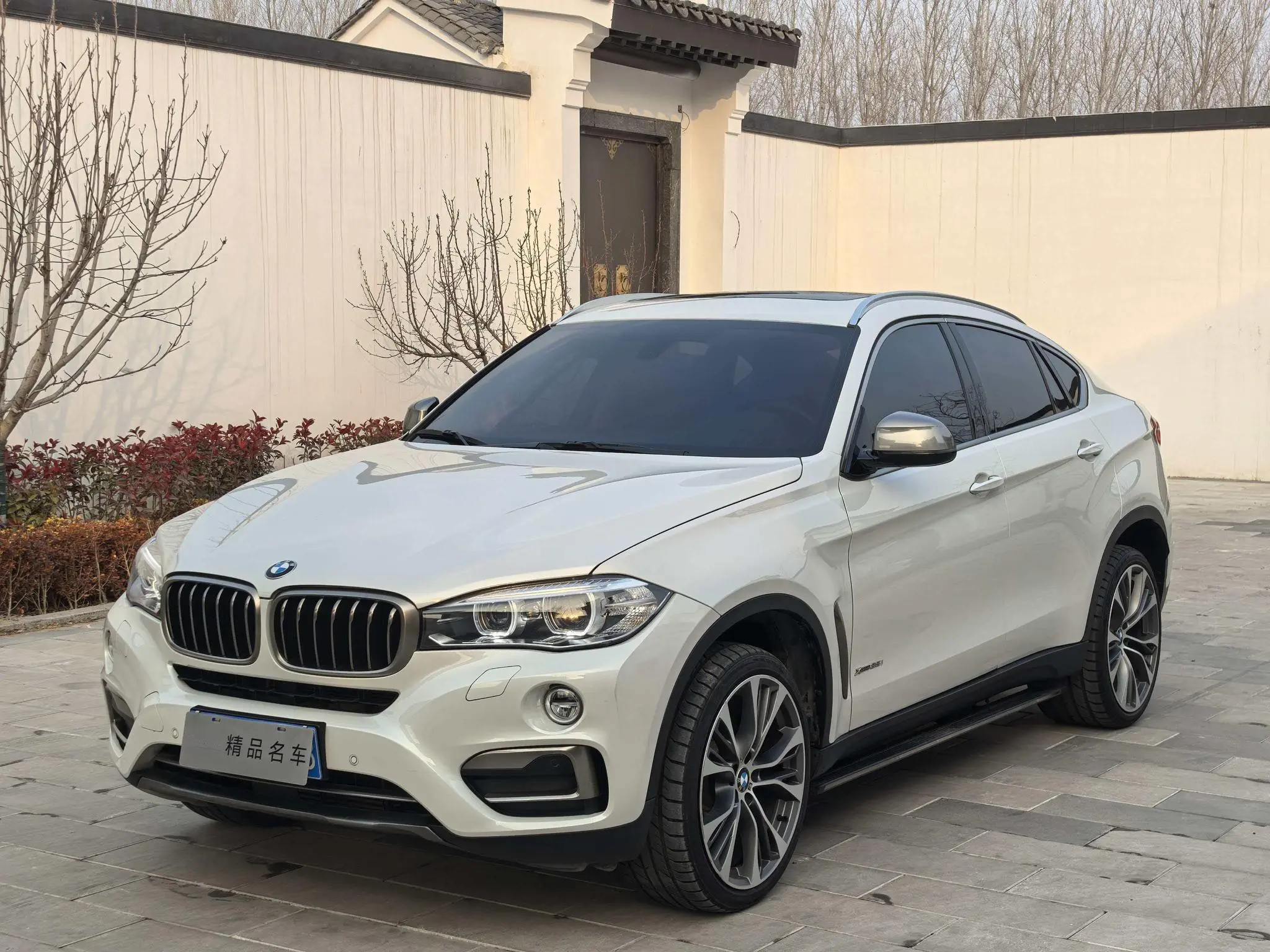 BMW BMW X6 xDrive35i leading type