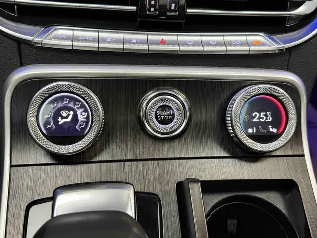 Hongqi Hongqi H9 3.0T Zhilian flag collar four-seater version