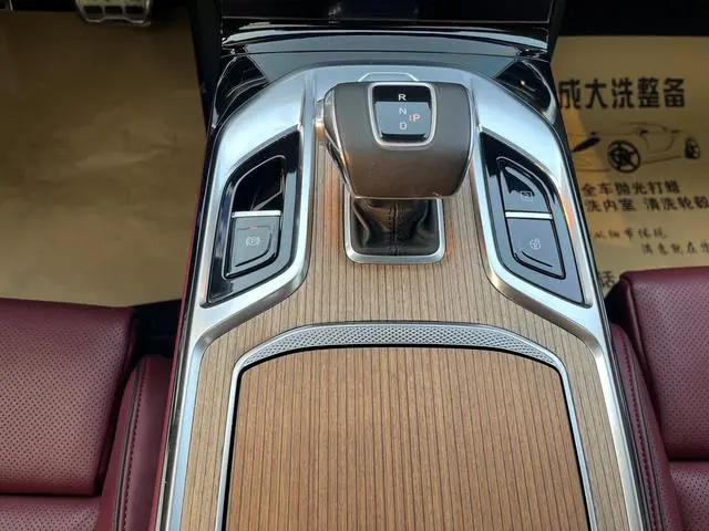 Hongqi Hongqi E-HS9 660km Qichang version six seats
