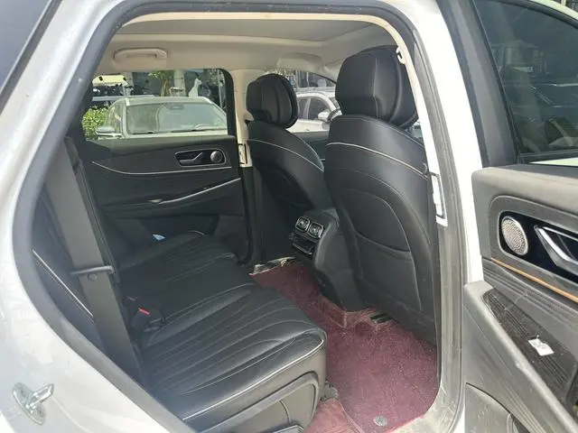 Chery Fulwin Tiggo 9 2.0T AT two-wheel drive Premium Edition 7 seats