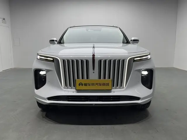 Hongqi Hongqi E-HS9 660km Qichang version six seats