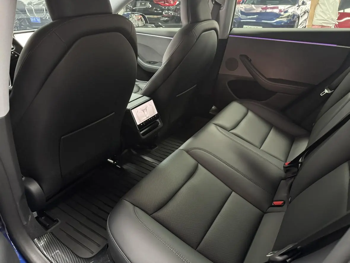 Tesla Model 3 Rear-wheel drive version