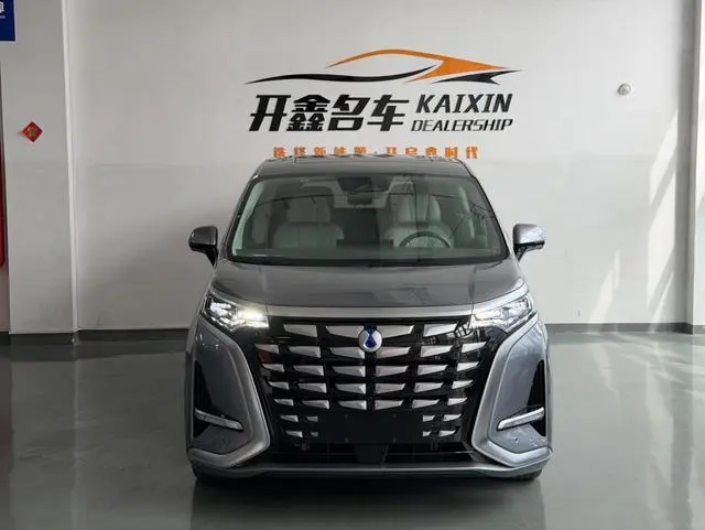 Denza Denza D9 DM 1040 Premium type