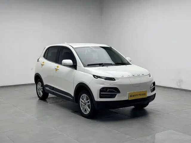 Dayun Yuehu 300 Standard Edition