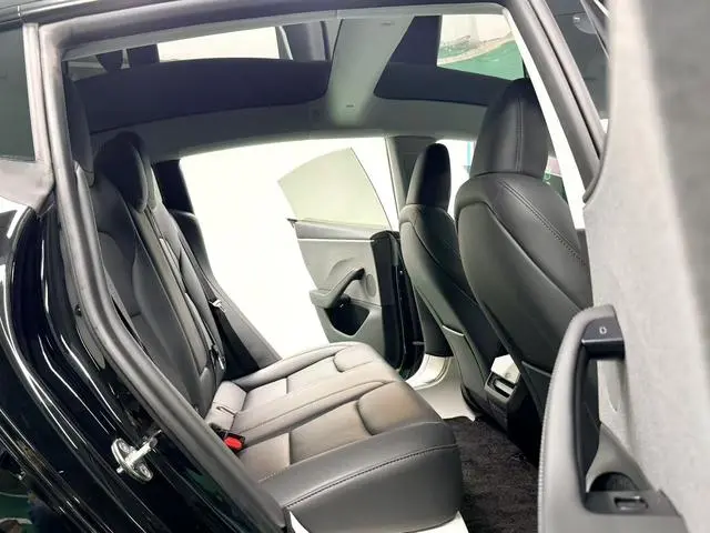 Tesla Model 3 Rear-wheel drive version