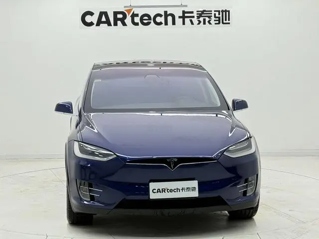 Tesla Model X 100D long battery life version