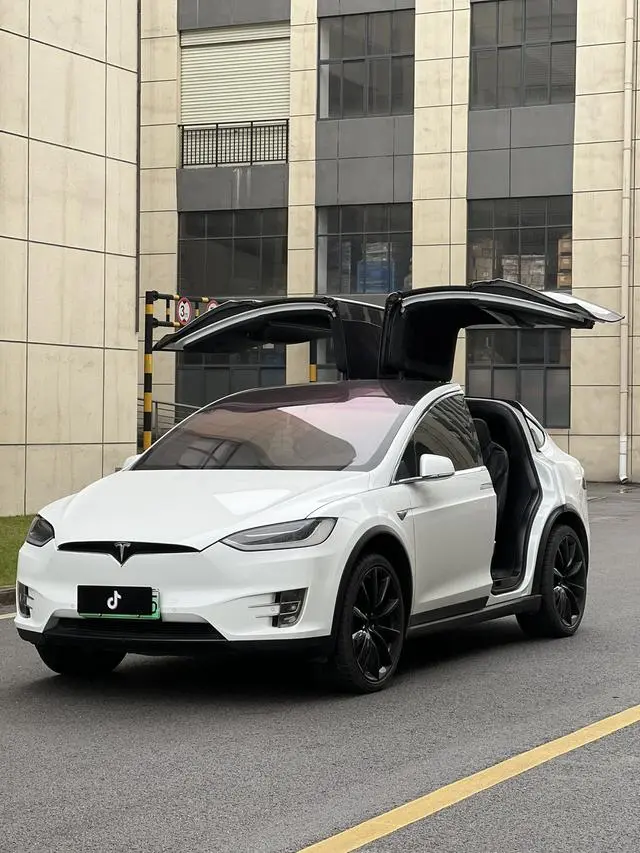 Tesla Model X 100D long battery life version