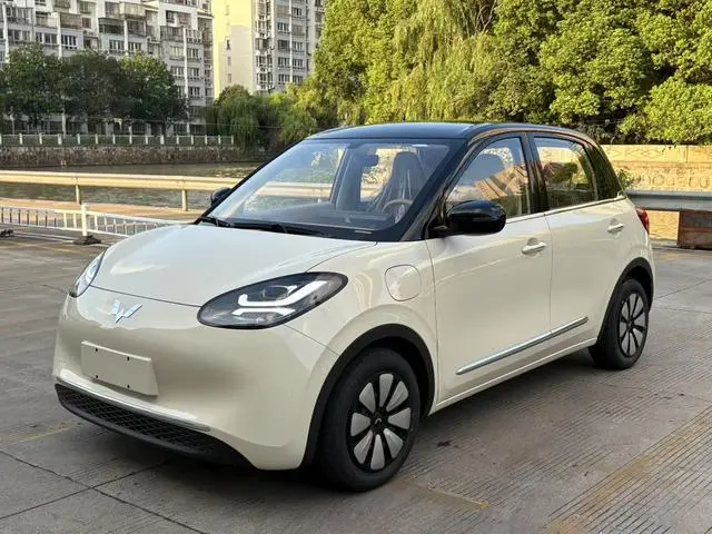 Wuling Wuling Bingguo 333KM Yuexiang model