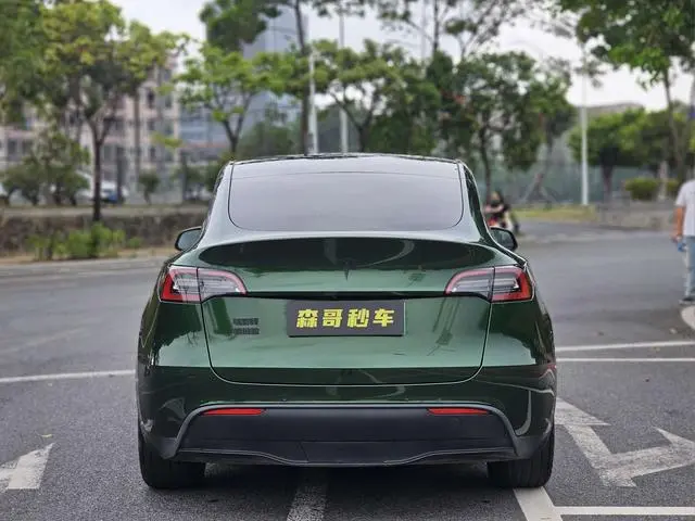 Tesla Model Y Rear-wheel drive version