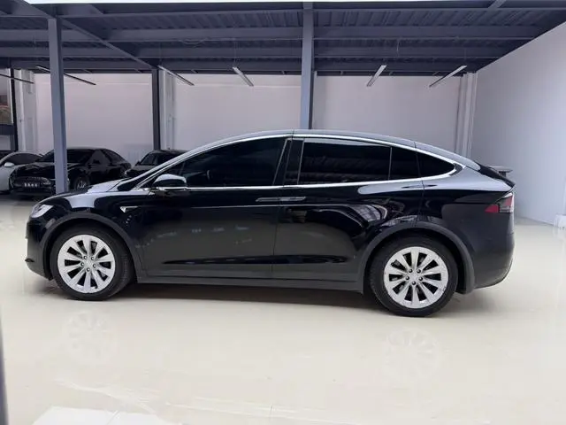 Tesla Model X 100D long battery life version