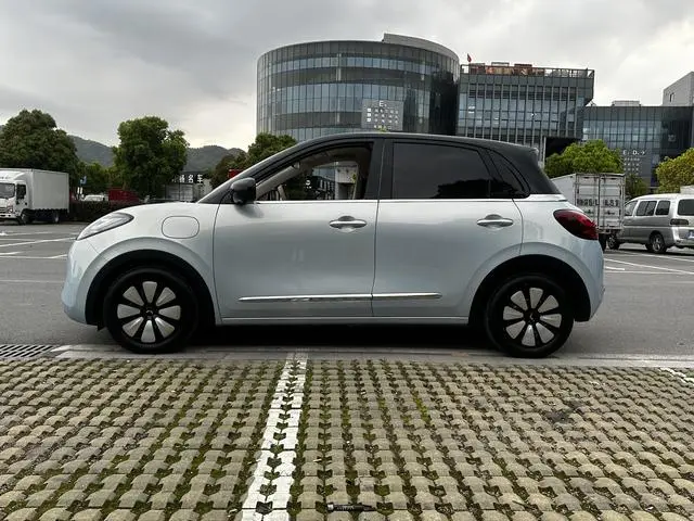 Wuling Wuling Bingguo 410KM Lingyi Exclusive Model