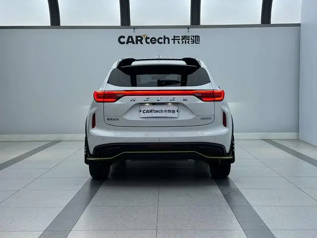 Haval Haval Red Rabbit Jinxiang Edition 1.5T Copper Rabbit