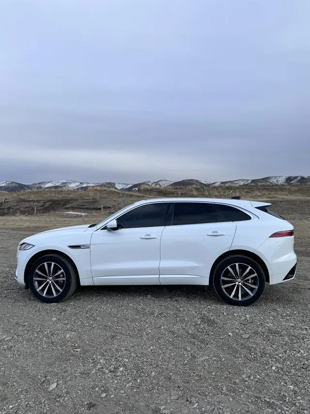 Jaguar Jaguar F-PACE 250PS R-Dynamic SE