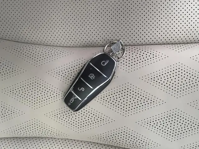 BYD dolphin Fashion edition