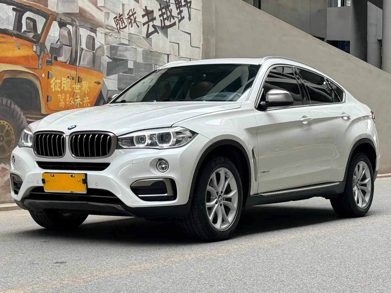BMW BMW X6 xDrive35i leading type