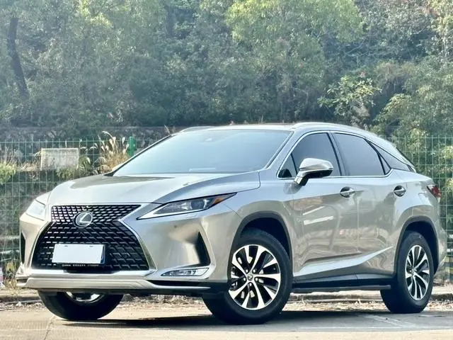 Lexus Lexus RX Facelift 300 two-wheel drive comfort version