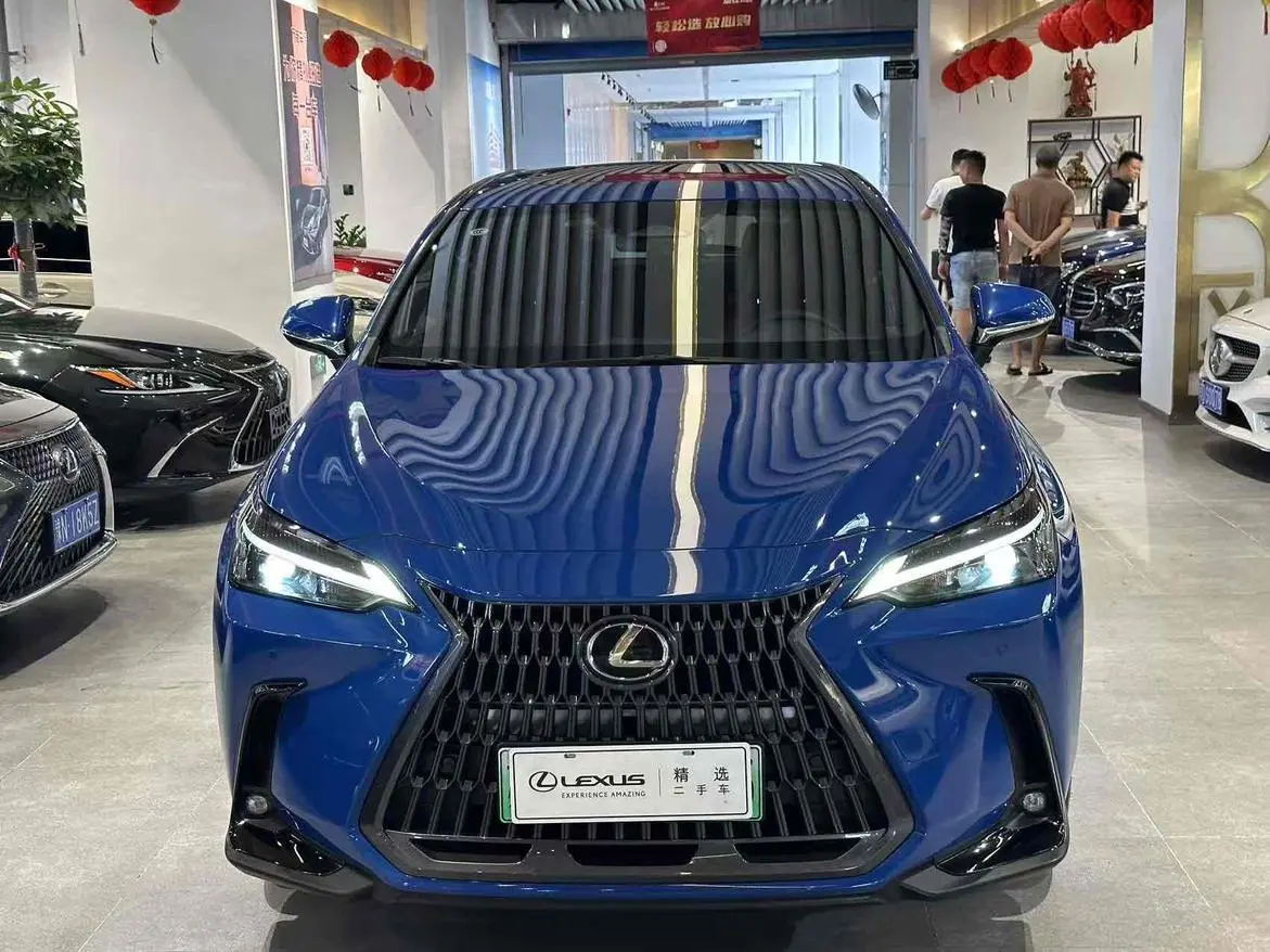 Lexus Lexus NX PHEV 400h+ Changyue Edition