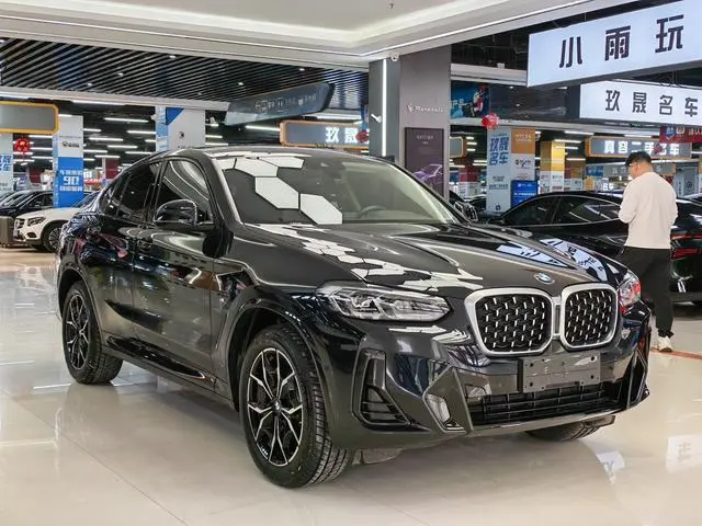 BMW BMW X4 xDrive 25i M sports suit