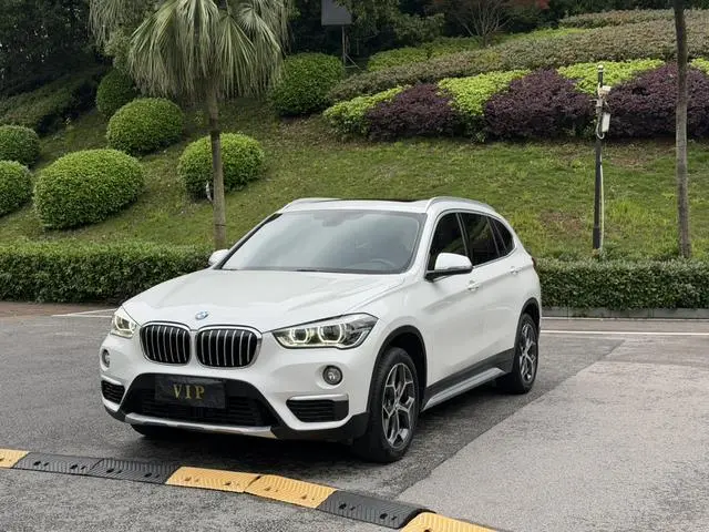 BMW BMW X1 sDrive18Li Exclusive type