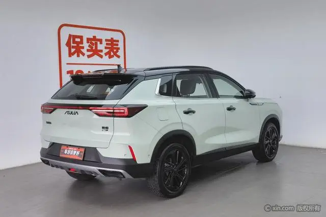 Dongfeng Fengshen Haoji Mach Power 1.5T Dare to Love Version