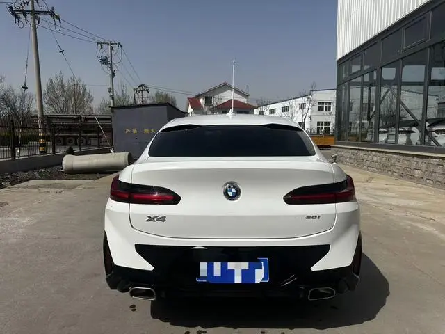 BMW BMW X4 xDrive 25i M sports suit