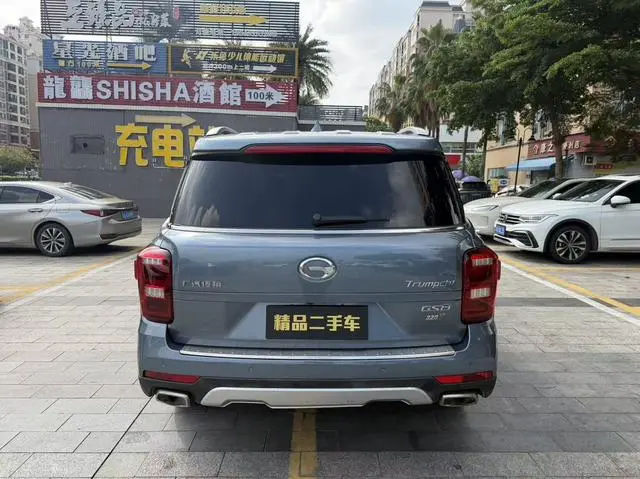 GAC Trumpchi GS8 320T two-wheel drive premium edition 7 seats