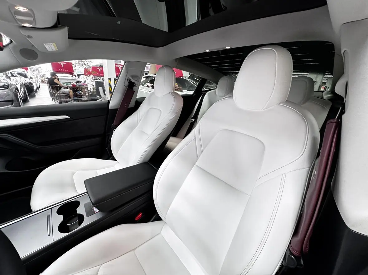 Tesla Model 3 Standard battery life rear drive upgraded version 3D6