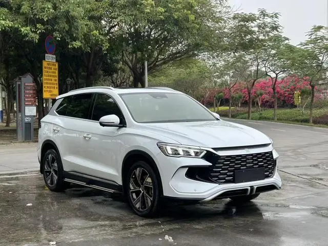 BYD Song Pro DM DM-i Champion Edition 110km Transcendent Type