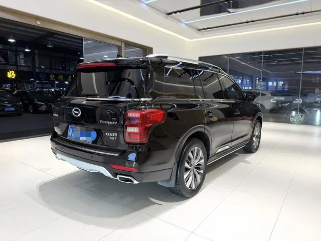 GAC Trumpchi GS8 320T two-wheel drive premium edition 7 seats