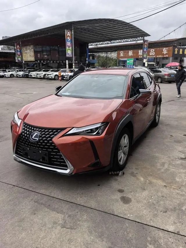 Lexus Lexus UX 260h Exploration*Cool Edition Country VI