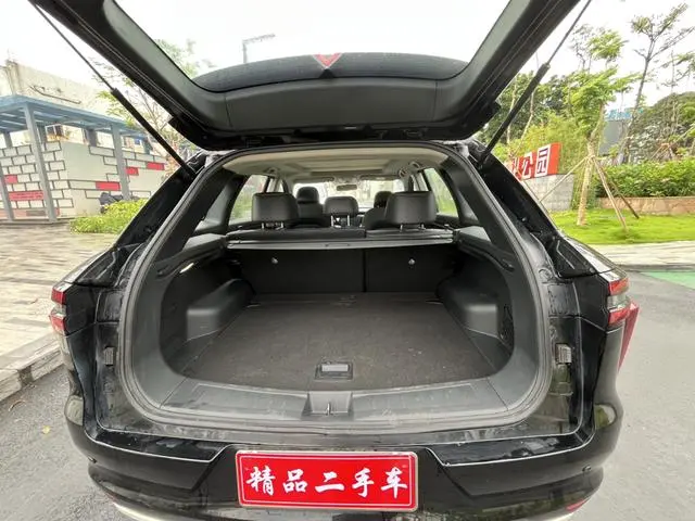 Venucia Qichenxing 260T automatic Xingshang Version