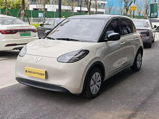 Wuling Wuling Bingguo 333KM Yuexiang model