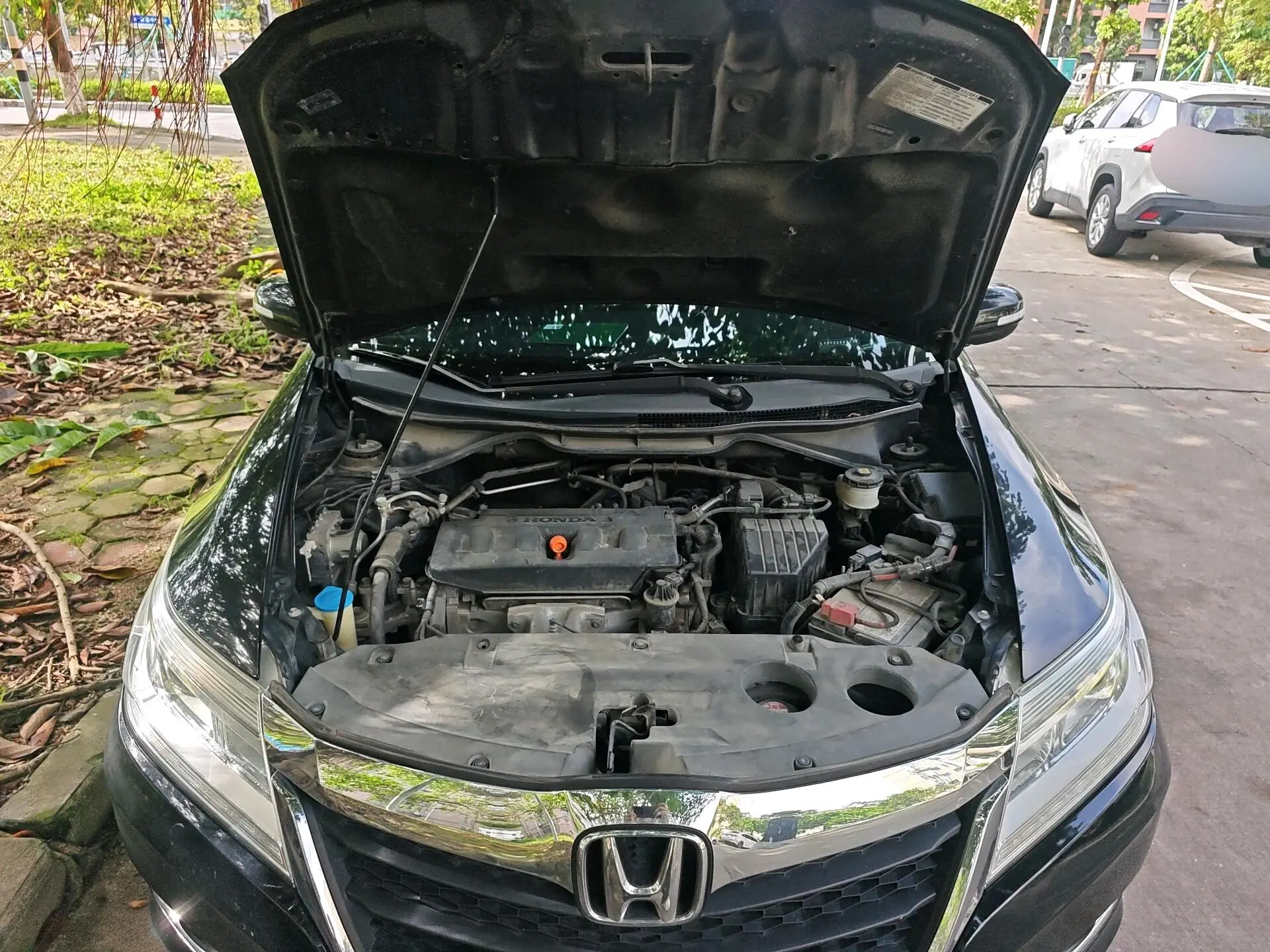 Honda Lingpai 1.8L CVT Deluxe Edition