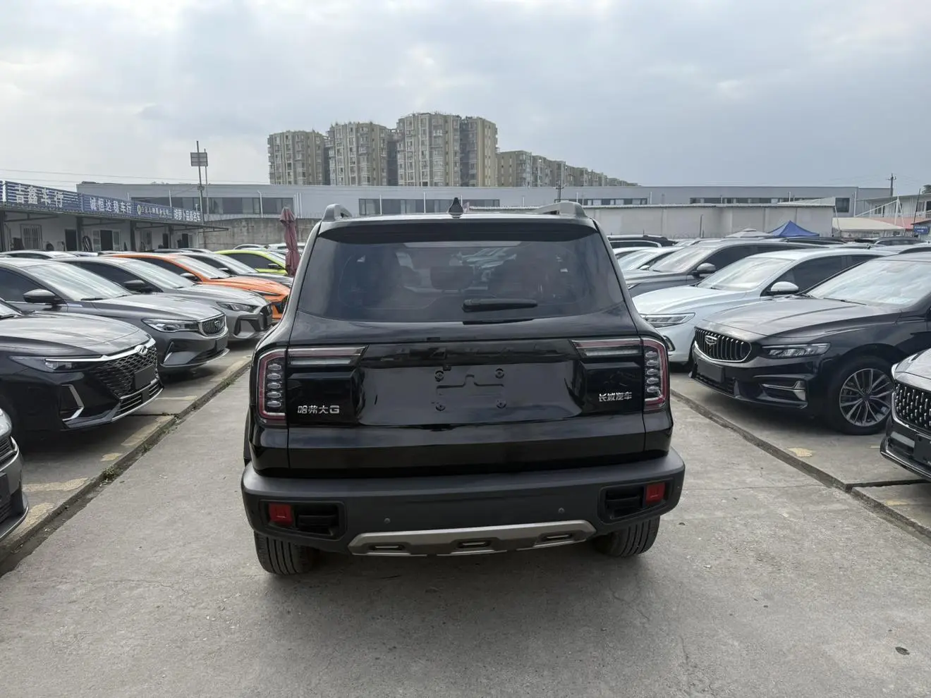 Haval Haval Big Dog 1.5T two-wheel drive side shepherd version