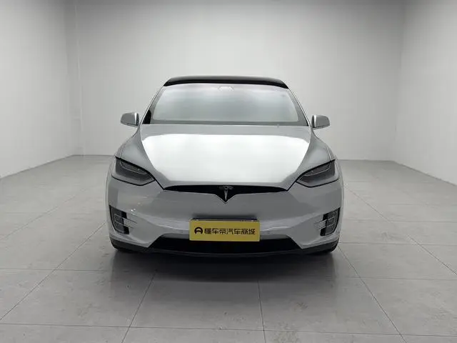 Tesla Model X 100D long battery life version