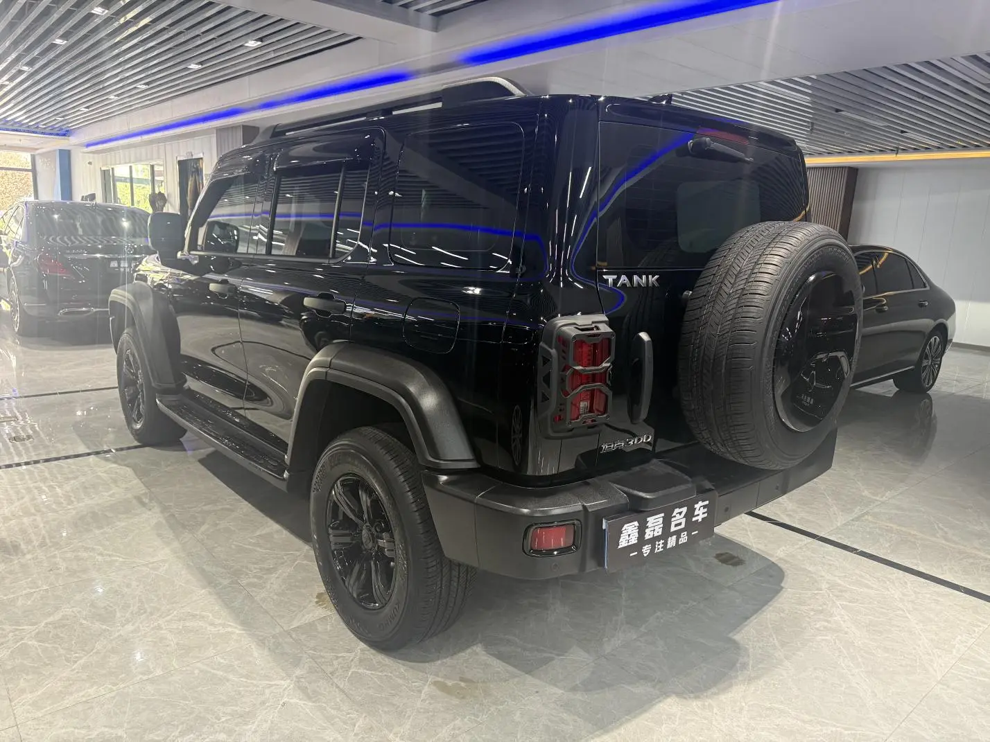 Tank Tank 300 Off-road version 2.0T Conqueror