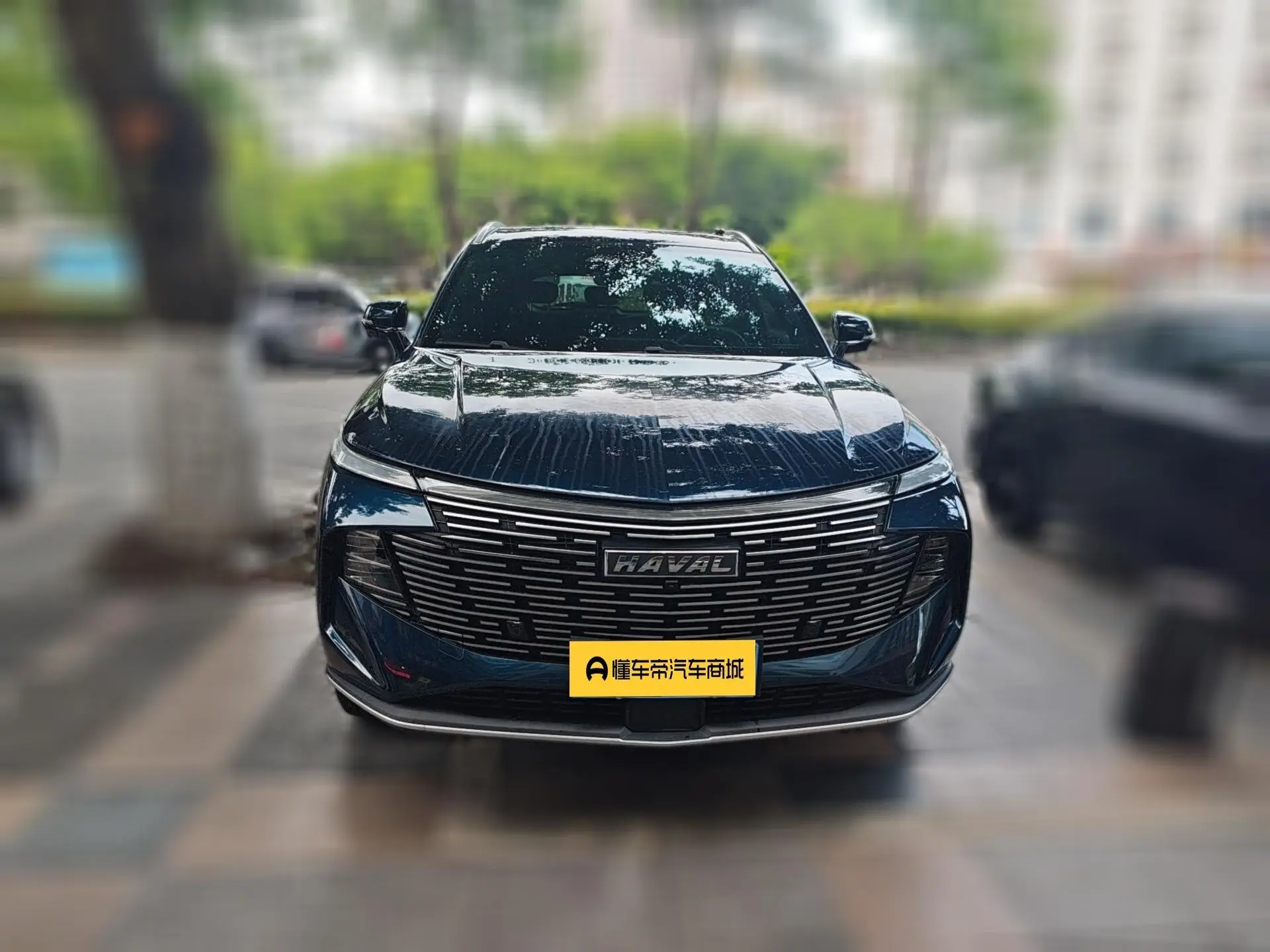 Haval Haval Beast 1.5T Zhizun Edition