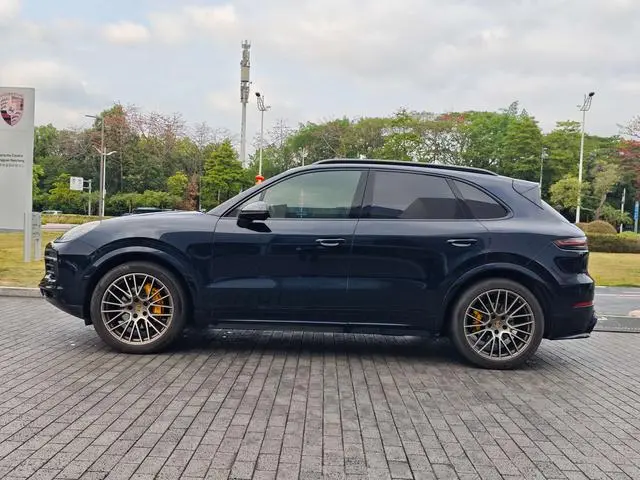 Porsche Cayenne Cayenne 3.0T Platinum Edition