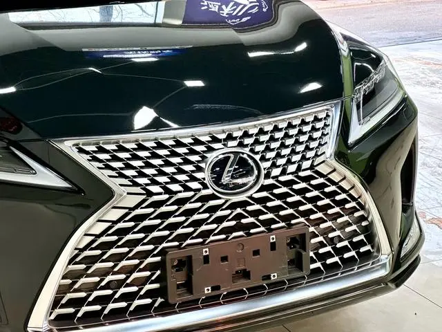 Lexus Lexus RX 300 four-wheel drive Special Edition