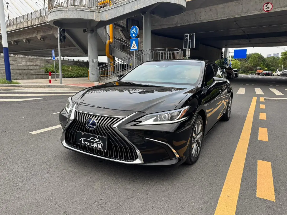 Lexus Lexus ES 300h Excellent Edition Country VI