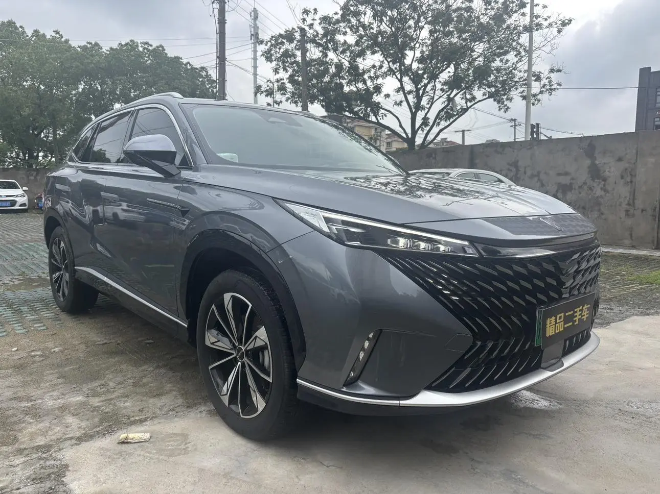 Roewe Roewe eRX5 Super Mixed Comfort Edition