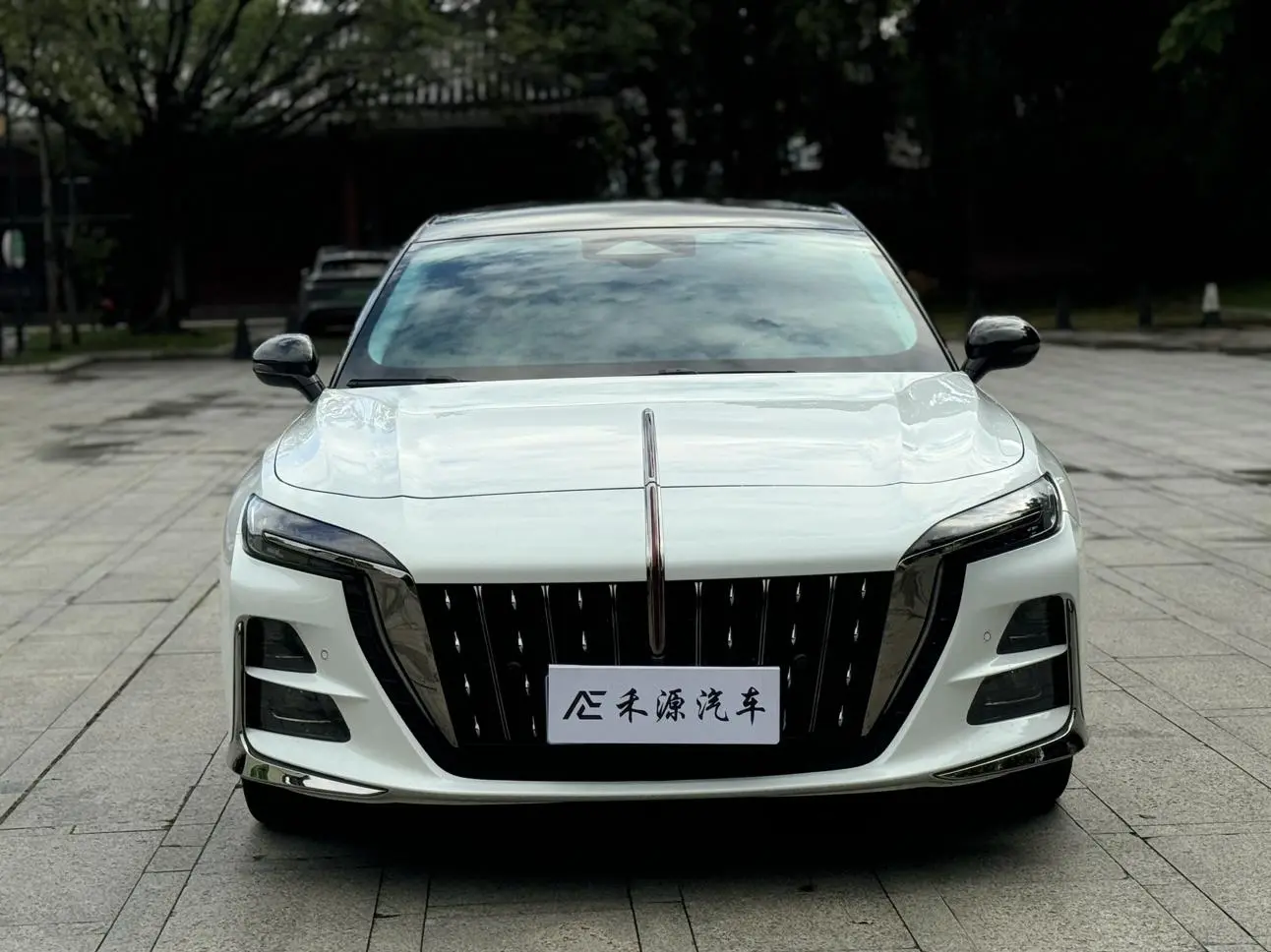 Hongqi Hongqi H6 2.0T Zhiyi Edition