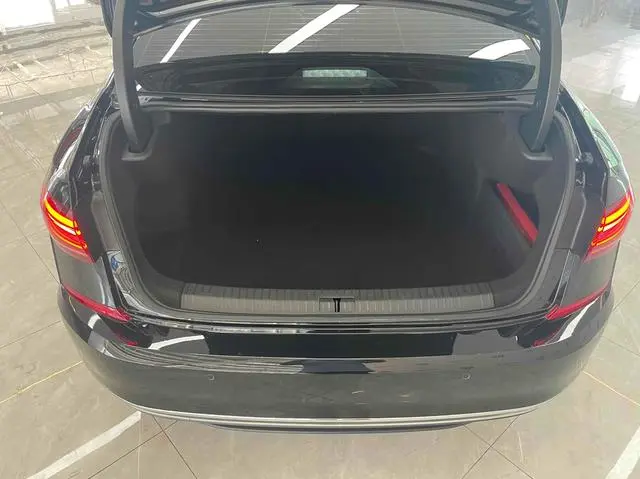 Volkswagen Passat Outstanding 380TSI Starry Sky Dragon Edition