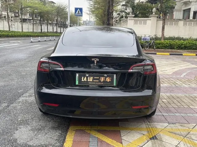 Tesla Model 3 Standard battery life rear drive upgraded version 3D6