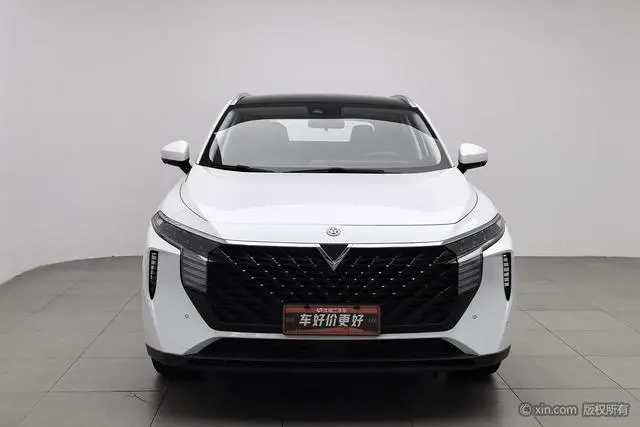 Venucia Qichen Big V 260T King Edition