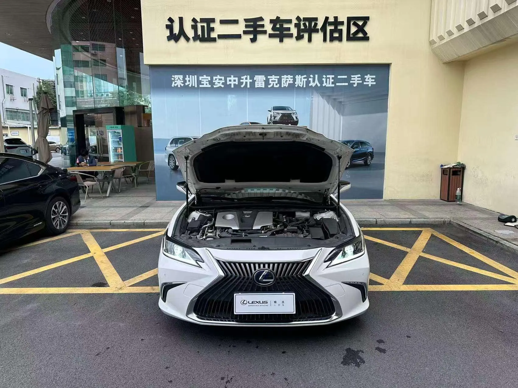 Lexus Lexus ES 300h Excellent Edition Country VI