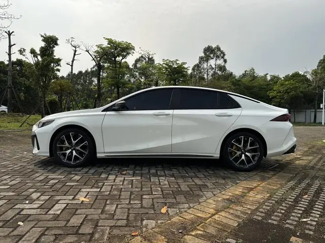 GAC Shadow Leopard 270T J16 Su Shen Limited Edition