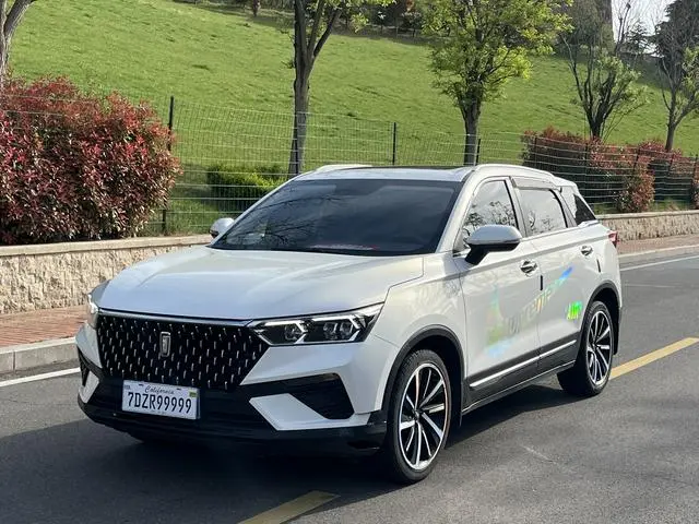 FAW Pentium T77 230 TID manual luxury Country V