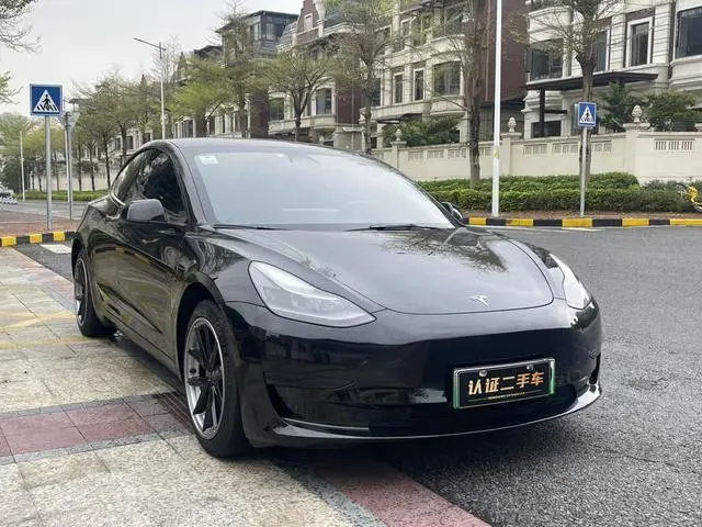 Tesla Model 3 Standard battery life rear drive upgraded version 3D6